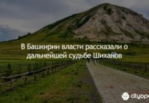 В Башкирии власти рассказали о дальнейшей судьбе Шиханов