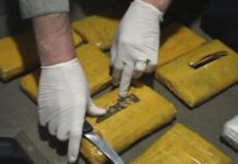 Стерлитамак заполонили марихуаной: изъято 44 кг