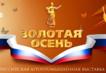 Стерлитамакское пиво «Шихан» получило награды