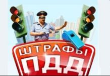 С 15 ноября водителей будут штрафовать по-новому