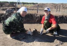 Студенты СФ БашГУ нашли новые погребальные комплексы сарматской культуры