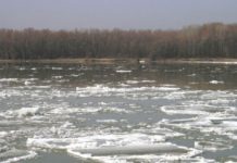 В зоне затопления 150 улиц Стерлитамака