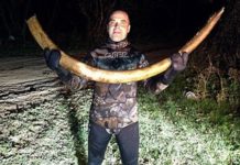 В реке Белой нашли бивень мамонта