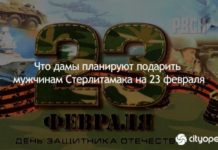 Что дамы планируют подарить мужчинам Стерлитамака на 23 февраля