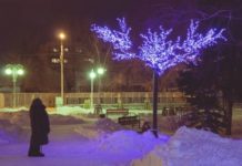 В Стерлитамаке дополнится новогоднее украшение