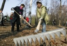 Назначены дни осенних субботников
