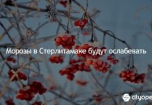 Морозы в Стерлитамаке будут ослабевать