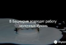 В Башкирии возродят работу молочных кухонь