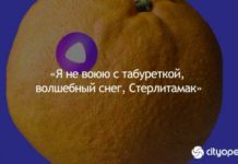 Голосовой помощник “Алиса” от Яндекса спела о Стерлитамаке