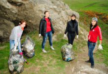 Санитары леса