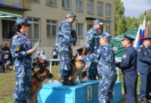 Победителями в чемпионате ФСИН России по многоборью среди специалистов-кинологов стала команда из Республики Башкортостан