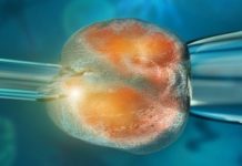 Как стерлитамаковцы относятся к клонированию