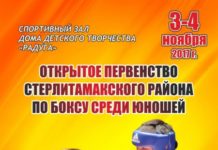 В Стерлитамакском районе пройдет первенство по боксу