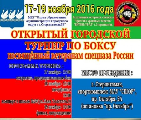 В Стерлитамаке пройдет открытый городской турнир по боксу