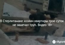 В Стерлитамаке хозяин квартиры трое суток не замечал труп. Видео 18+