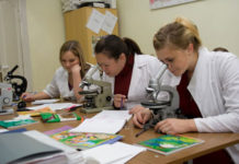 Среднее профобразование станет бесплатным