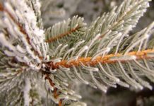 Погода в Стерлитамаке в новогоднюю ночь