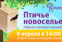 “Птичье новоселье”