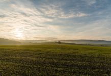 Жителю незаконно выделили 82 гектара земли под Стерлитамаком