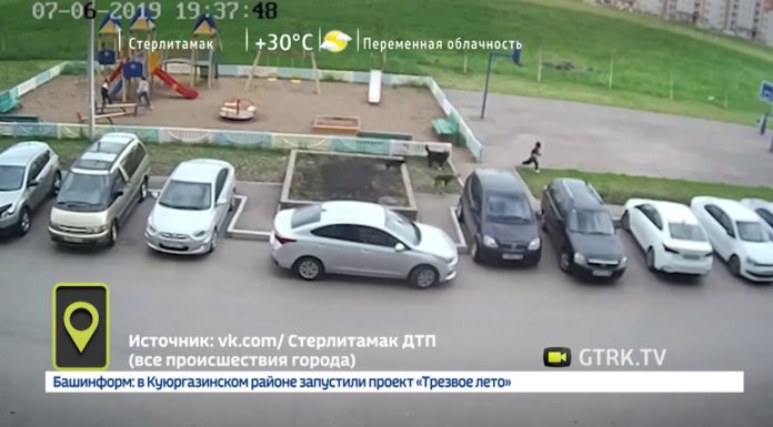Видео: в Стерлитамаке бродячие собаки напали на ребенка