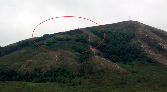 Предполагаемая причина пожара на Торатау – человеческий фактор