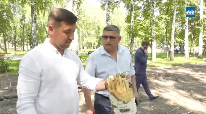 В Стерлитамаке началась реконструкция парка “Содовик”