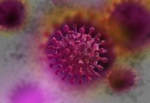 В Башкирии за сутки подтверждено менее 60 случаев Covid-19