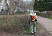 Стерлитамак начали обрабатывать от клещей