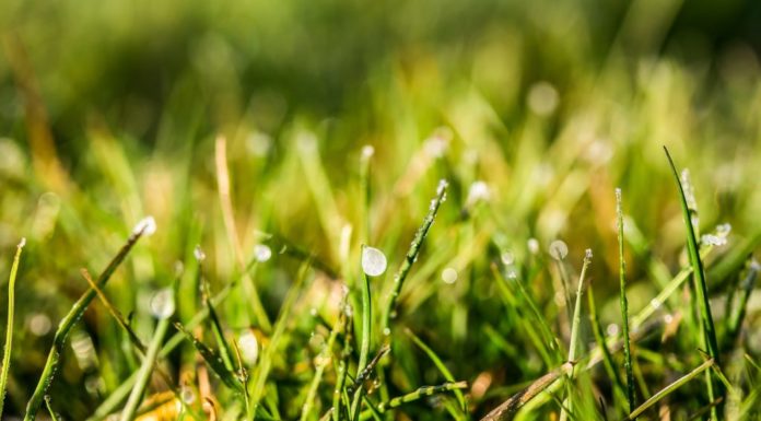 Башгидрометцентр предупредил о наступлении арктического холода