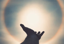 МЧС РБ рассказал о серьезных симптомах теплового удара и первой экстренной помощи