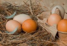 Госсобрание Башкирии выясняет, почему подорожали куриные яйца