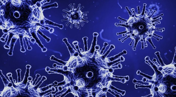 В Башкирии за сутки зарегистрировано 35 новых случаев коронавируса