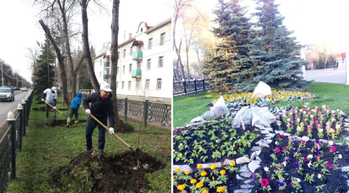 Мосты, дороги и клумбы: итоги первого полугодия Года эстетики в Стерлитамаке
