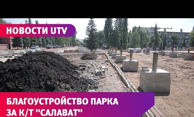 Спил деревьев и снос стен: ход работ в парке за кинотеатром «Салават» в Стерлитамаке