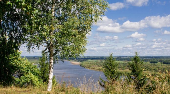 В Стерлитамаке за неделю утонули 4 человека