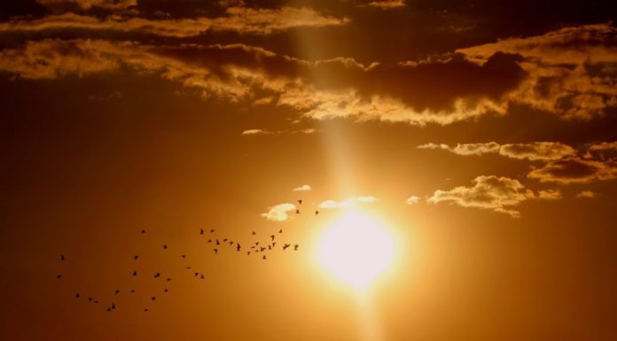 Прячьтесь в теньке – в Стерлитамаке устоится субтропическое тепло