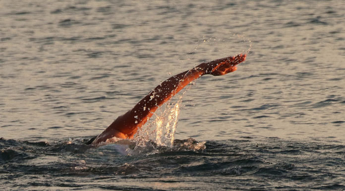 В Стерлитамаке с начала года утонули 9 человек