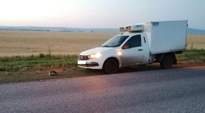 Житель Стерлитамака насмерть сбил пешехода недалеко от въезда в Салават