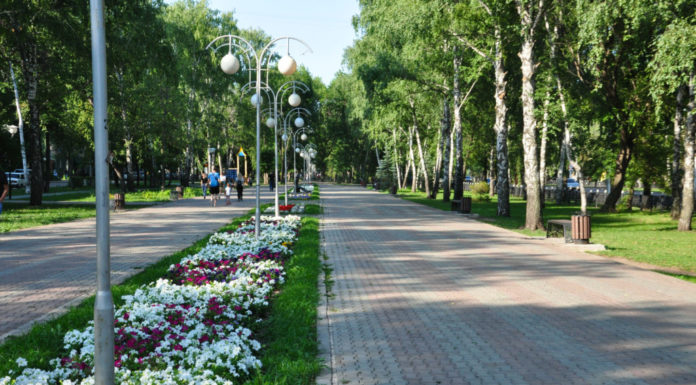 Где погулять в Стерлитамаке: аллея на проспекте Ленина