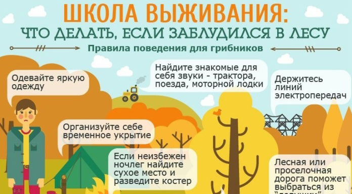 В МЧС напомнили о правилах безопасности в лесу
