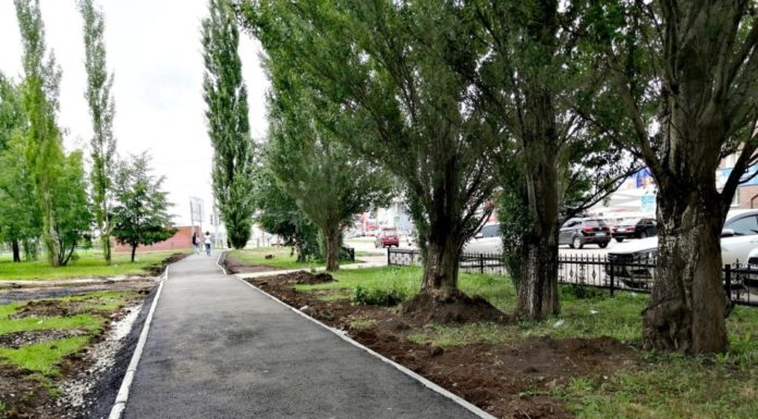 Неровности, разметка и тротуары: в Стерлитамаке продолжается благоустройство города