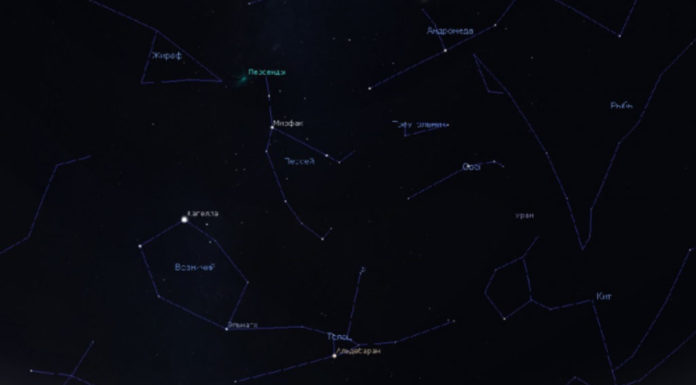Жители Стерлитамака смогут увидеть яркий летний звездопад