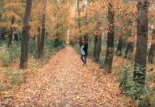 Житель Стерлитамака предложил привести в порядок березовую рощу на Элеваторной