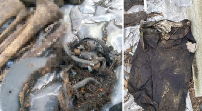 В Стерлитамаке около садов нашли останки человека