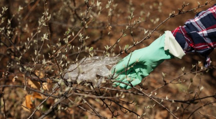 В Стерлитамаке пройдет Всемирный день чистоты