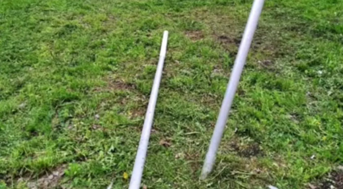 В Стерлитамаке установили личности вандалов, сломавших камыши