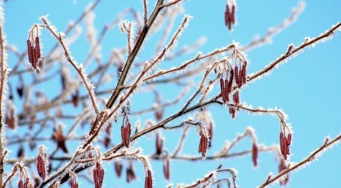 «Бабье лето» завершается: в Стерлитамак идут заморозки