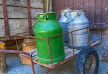 Россельхознадзор утилизировал 8,05 тонн молочной продукции из Стерлитамакского района