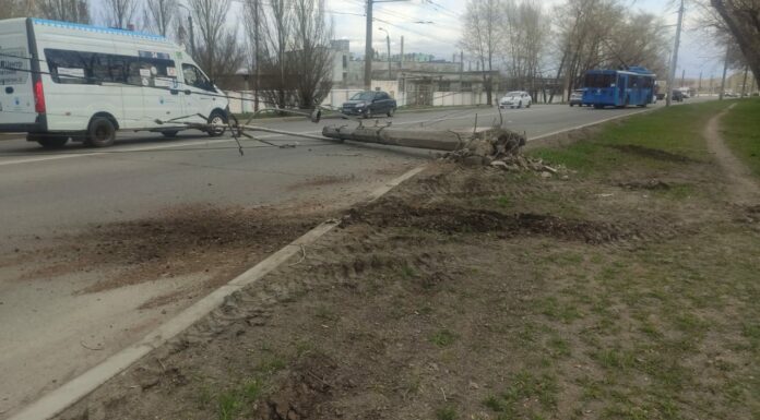 В Стерлитамаке пьяный экскаваторщик снес электроопору с корнем, испортил дерево и скрылся