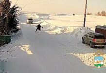 В Стерлитамакском районе женщина обругала инспекторов ДПС, задержавших ее пьяного мужа